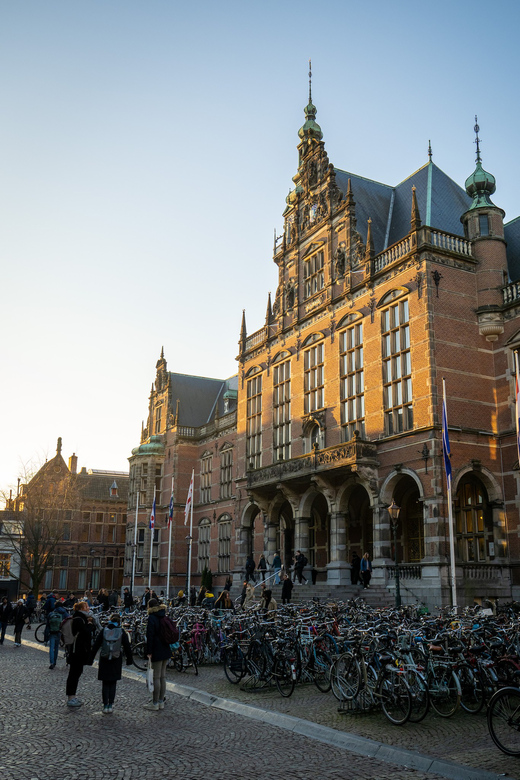 Groningen: Walking Tour With Local Guide - Tour Description