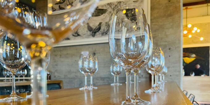 Groot Constantia and Cape Point Private Tour Including Fees - Cancellation and Booking Policy