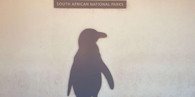 Groot Constantia and Cape Point Private Tour Including Fees - Frequently Asked Questions