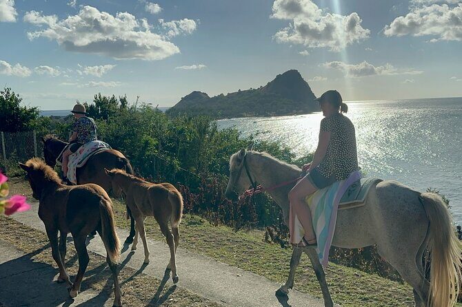 Gros Islet Village Horseback Riding run with Dore's riding Stable - An Authentic Ride with Beautiful Views