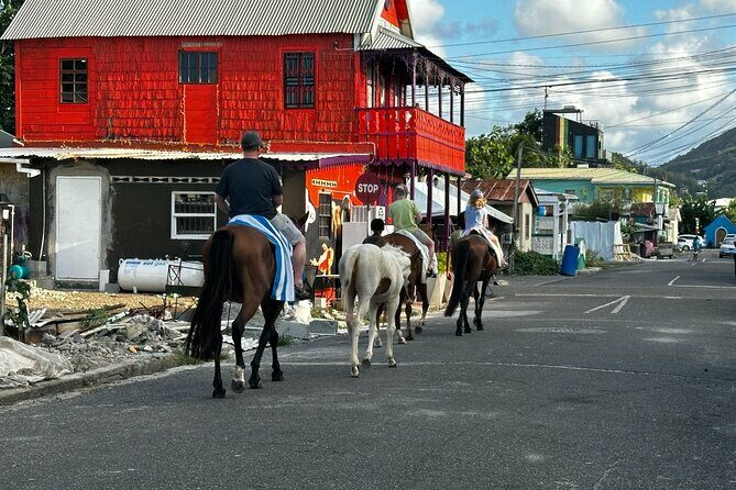 Gros Islet Village Horseback Riding run with Dore's riding Stable - Ride Back to Cap Estate and Final Impressions