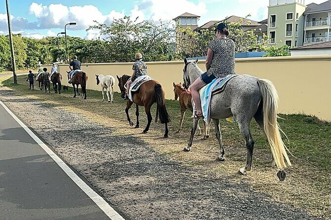 Gros Islet Village Horseback Riding run with Dore's riding Stable - Practical Details and Considerations
