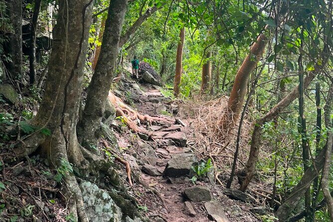 Gros Piton Adventure with Tour For The Day - Who Will Love This Tour?