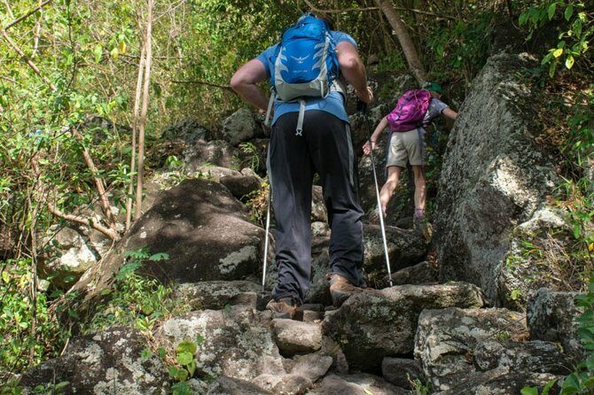 Gros Piton Hike - The Guides: The Heart of the Experience