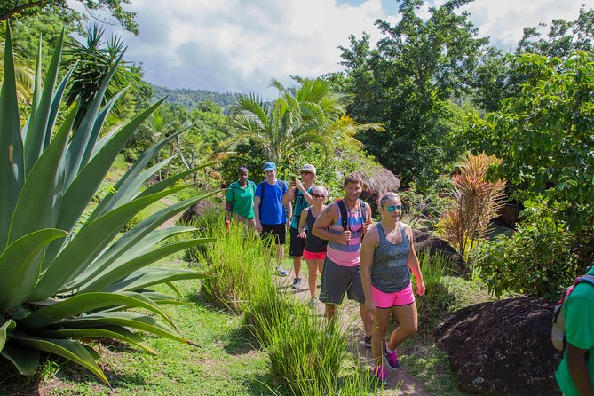 Gros Piton Hike - Hiking Experience Details