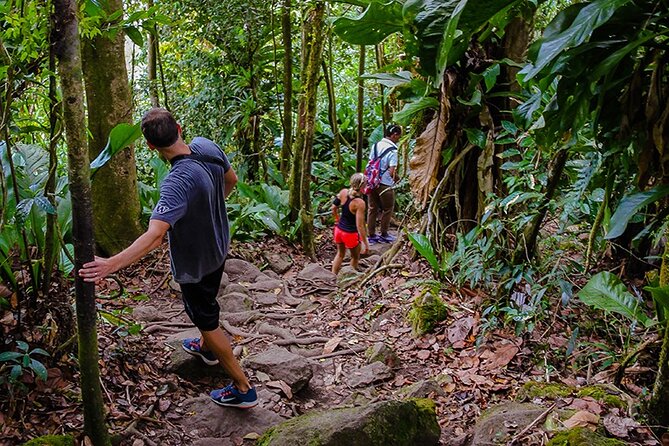 Gros Piton Hike in St. Lucia (Private) - Meeting and Pickup