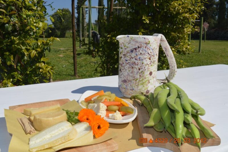 Grosseto: Visit the Family Farm With Tasting of Local Food - Easy Booking and Flexible Cancellation