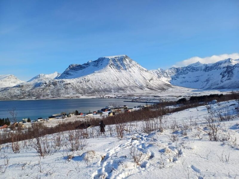 Grøtfjord, Tromsø. Unique Arctic Scenic Route. - Experience Highlights