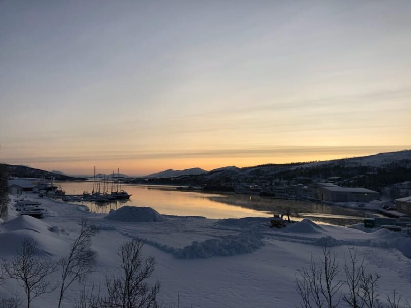 Grøtfjord, Tromsø. Unique Arctic Scenic Route. - Local Food and Drink