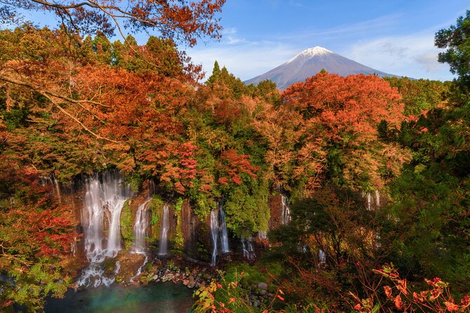 Group 1 Day Tour of Mt. Fuji and Hakone: Onsen, Arts, and Nature - Appreciation of the Natural Wonders