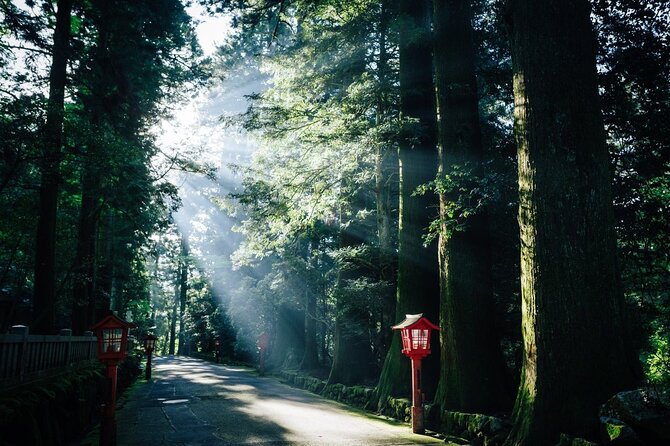 Group 1 Day Tour of Mt. Fuji and Hakone: Onsen, Arts, and Nature - Booking and Pricing Information