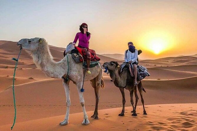 Group - 1 Night Desert Tour to Merzouga From Fes to Marrakech/Fes - Key Points