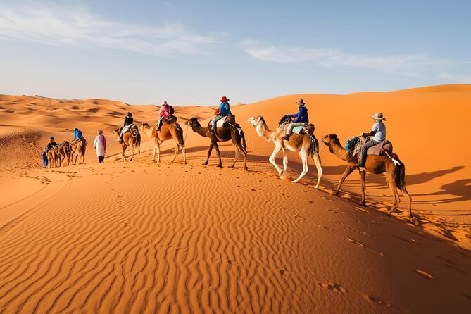 Group - 1 Night Desert Tour to Merzouga From Fes to Marrakech/Fes - Meeting and Pickup