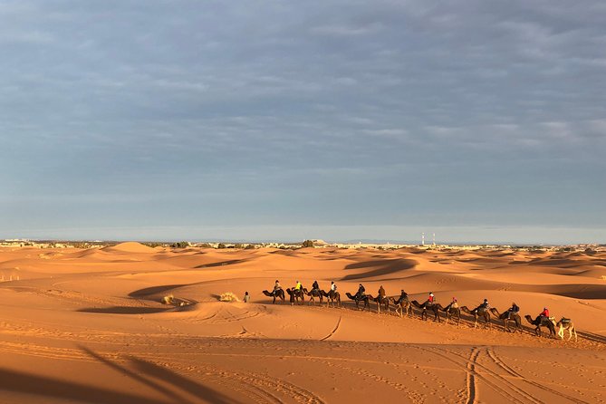 Group - 2 Nights Desert Trip From Fes to Marrakech or Back to Fes - Group Size and Transportation