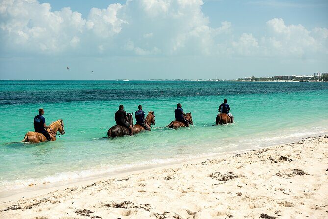 Group Beach and Ocean Horseback Adventure in Providenciales - The Experience Breakdown