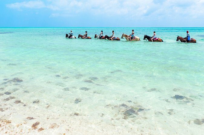 Group Beach and Ocean Horseback Adventure in Providenciales - Authentic Feedback from Travelers