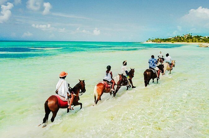 Group Beach and Ocean Horseback Adventure in Providenciales - The Sum Up