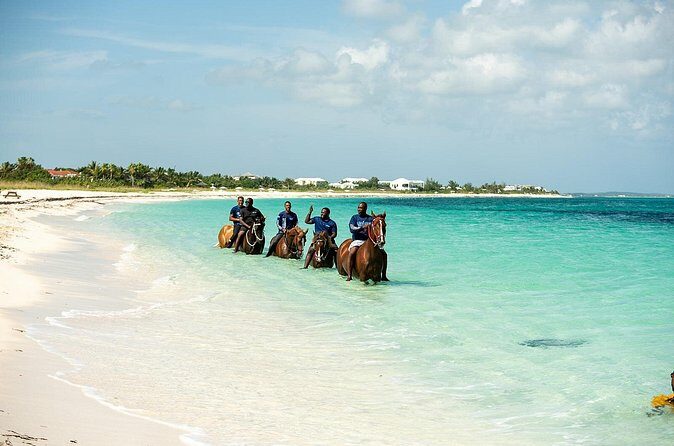 Group Beach and Ocean Horseback Adventure in Providenciales - Frequently Asked Questions