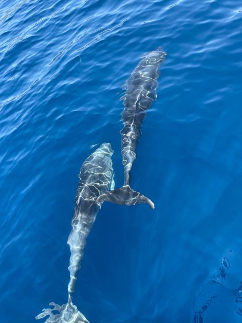 Group Blue Cave and Three Island Tour Withspeedboat Full Day - Good To Know
