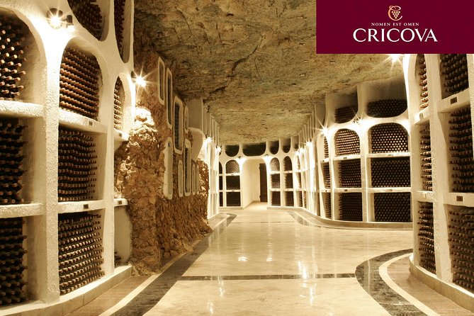 GROUP - Cricova Winery With Tasting - Winemaking Process