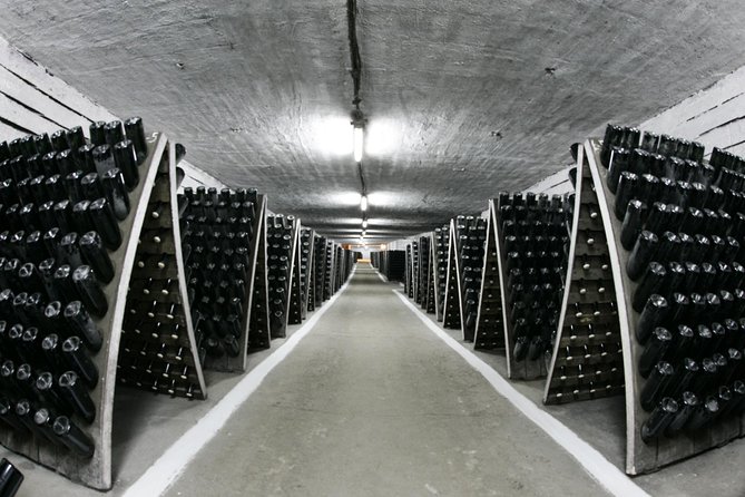 GROUP - Cricova Winery With Tasting - Tasting Experience