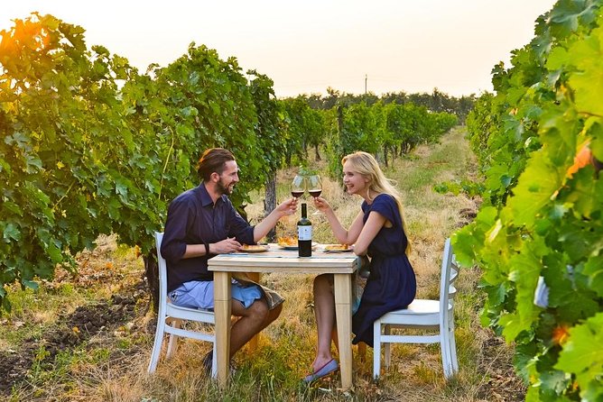 GROUP - Et Cetera and Purcari Wineries - Key Points