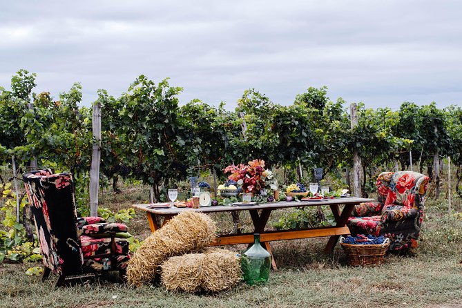 GROUP - Et Cetera and Purcari Wineries - Accessibility and Requirements
