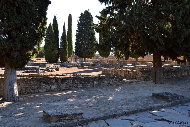 Group Excursion From Seville to Italica (Seville Roman Town) - Meeting and Pickup
