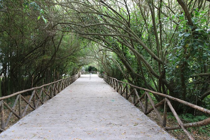 Group Guided Tour of the Archaeological Park of Neapolis - Internal Visit to Ear of Dionysius