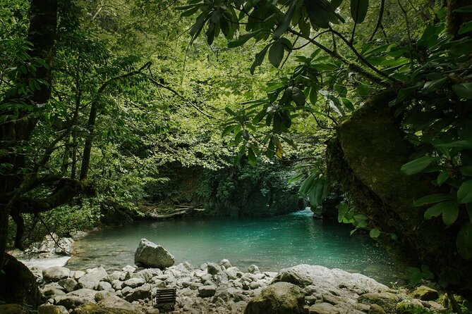 Group Hiking Tour in Mtirala National Park - Health and Accessibility