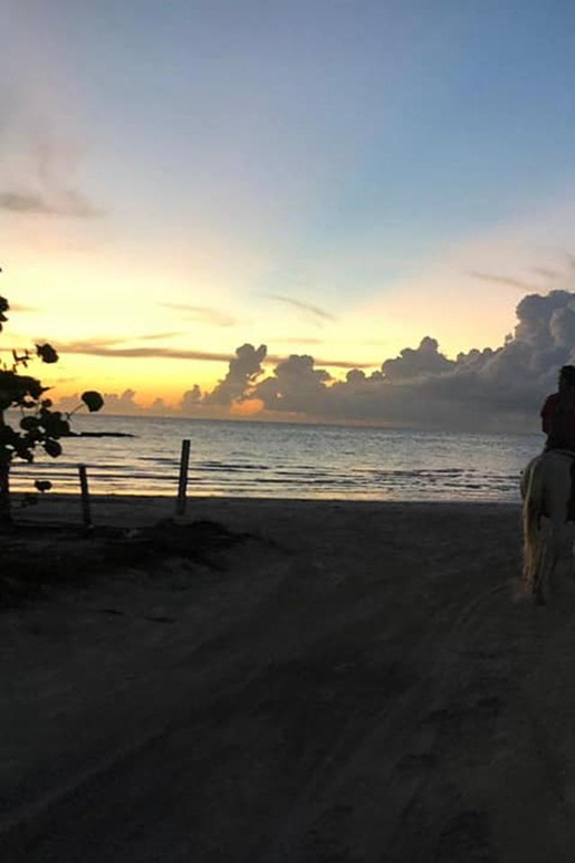 Group Horseback Ride on Holbox Island, Quintana Roo - Key Points