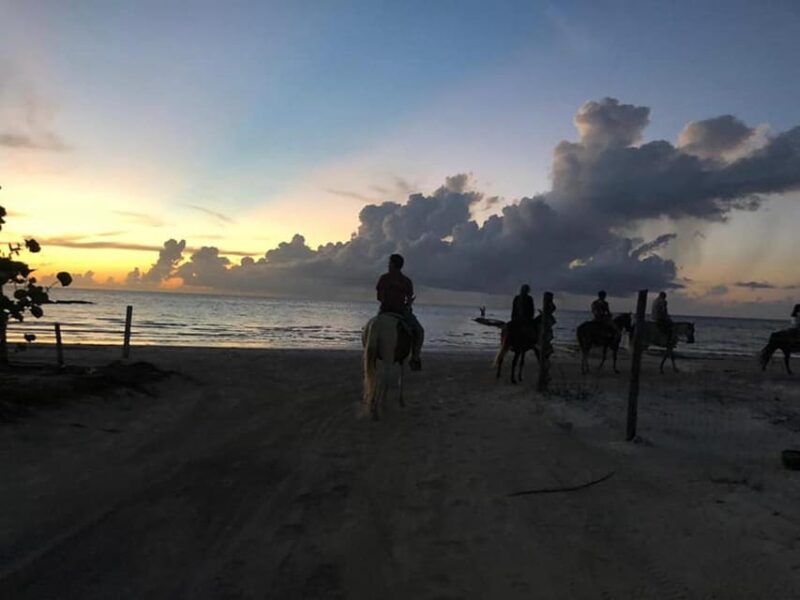 Group Horseback Ride on Holbox Island, Quintana Roo - Group and Participation