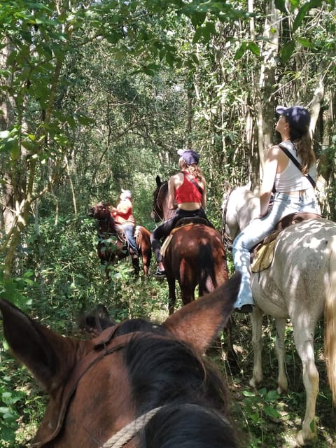 Group Horseback Ride on Holbox Island, Quintana Roo - Customer Feedback