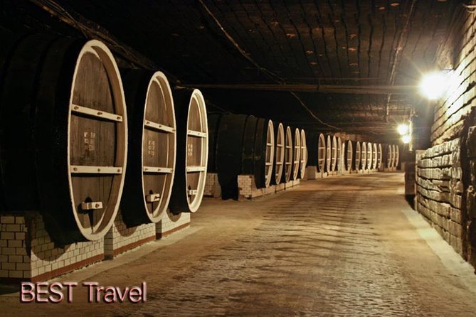 GROUP - Milestii Mici Winery With Tasting - Wine Tasting Experience