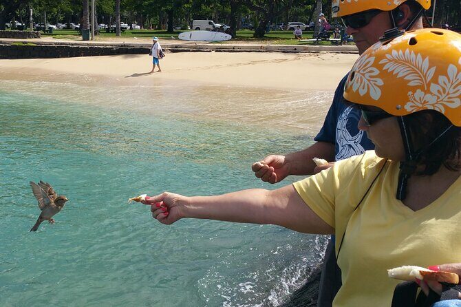 Group priced Food Distillery Brewery half island private tour - Authentic Experiences and Real Traveler Feedback