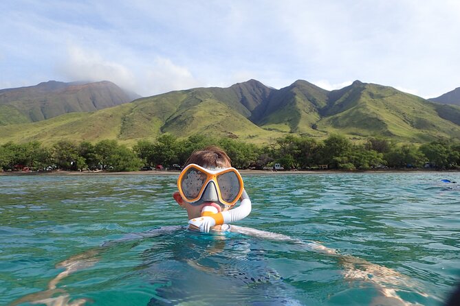 Group Snorkel Excursions in Lahaina, Maui - Meeting and Logistics
