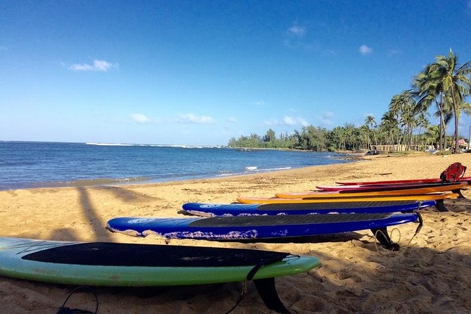 Group Stand Up Paddle Lesson and Tour - Tour Details