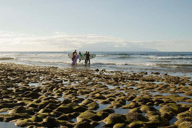 Group Surf Lesson in Playa De Las Americas - Participants Experiences and Ratings