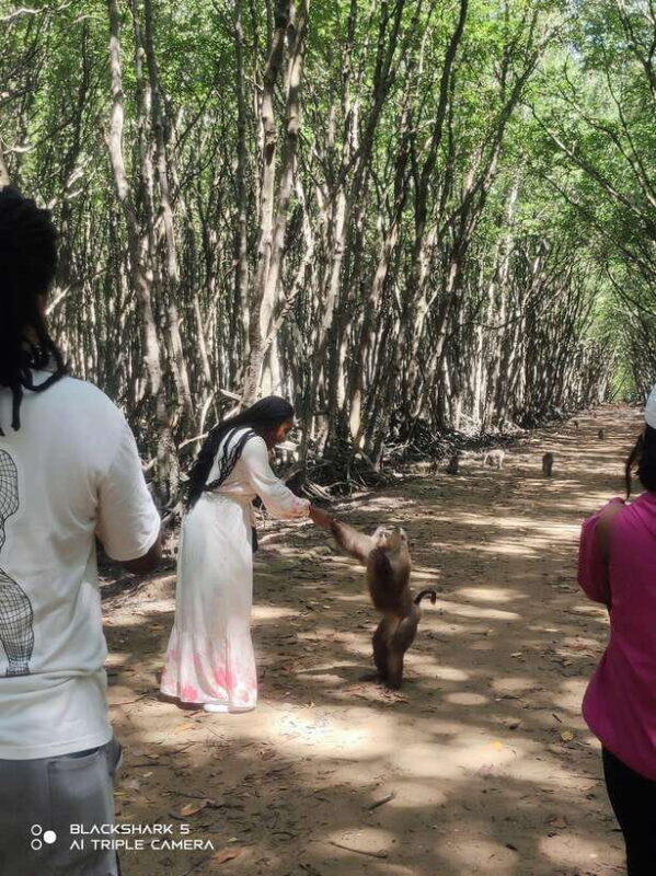 GROUP TOUR CAN GIO MANGROVE FOREST - MONKEY ISLAND FULL DAY - Key Points