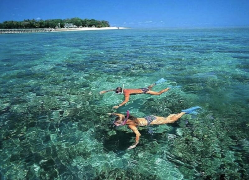 Group Tour: Cham Island Sightseeing & Snorkeling - Diverse Marine Ecosystem