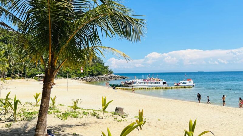 Group Tour: Cham Island Sightseeing & Snorkeling - Speedboat Transfer to Cham Island