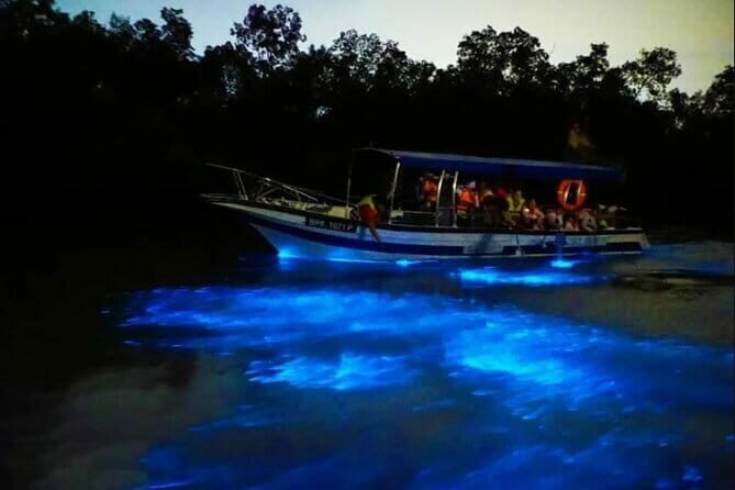 Group Tour: Kuala Selangor Firefly Blinking's including Dinner - Who Should Consider This Tour?