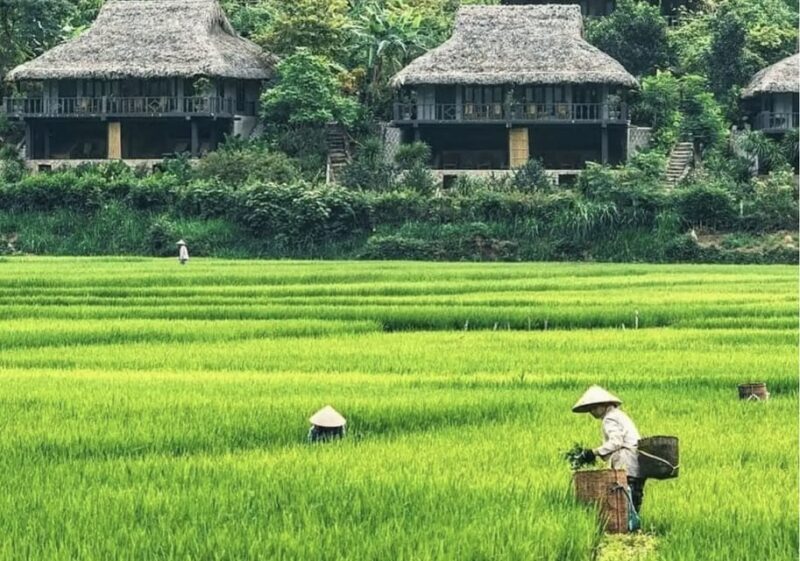 Group Tour: Mai Chau Full Day Trip From Hanoi - Key Points
