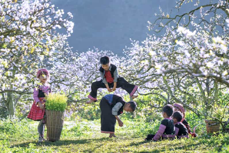 Group Tour: Mai Chau Full Day Trip From Hanoi - Itinerary Details