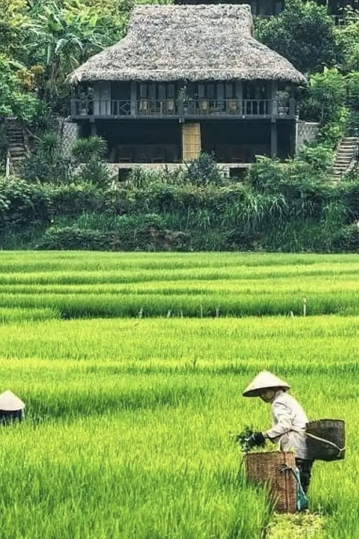 Group Tour: Mai Chau Full Day Trip From Hanoi - Highlights and Experiences
