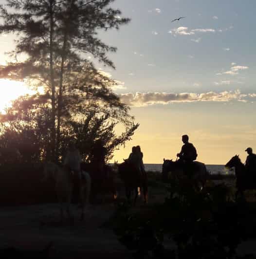 Group Tour of Holbox Island, Quintana Roo - Unique Features