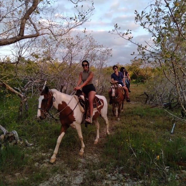 Group Tour of Holbox Island, Quintana Roo - Payment Options