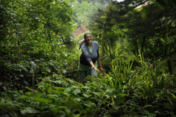 Group Tour of Nature Park - Pricing and Cancellation Policy