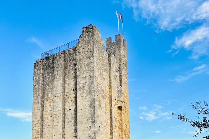 Group Tour - Saint Emilion Walking Tour + Tasting in Cave - Highlights of Walking Tour