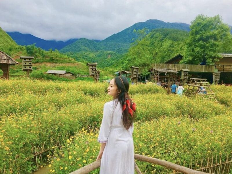 Group Tour: Sapa 2 Days 1 Night From Hanoi - Day 1: Trekking and Dinner